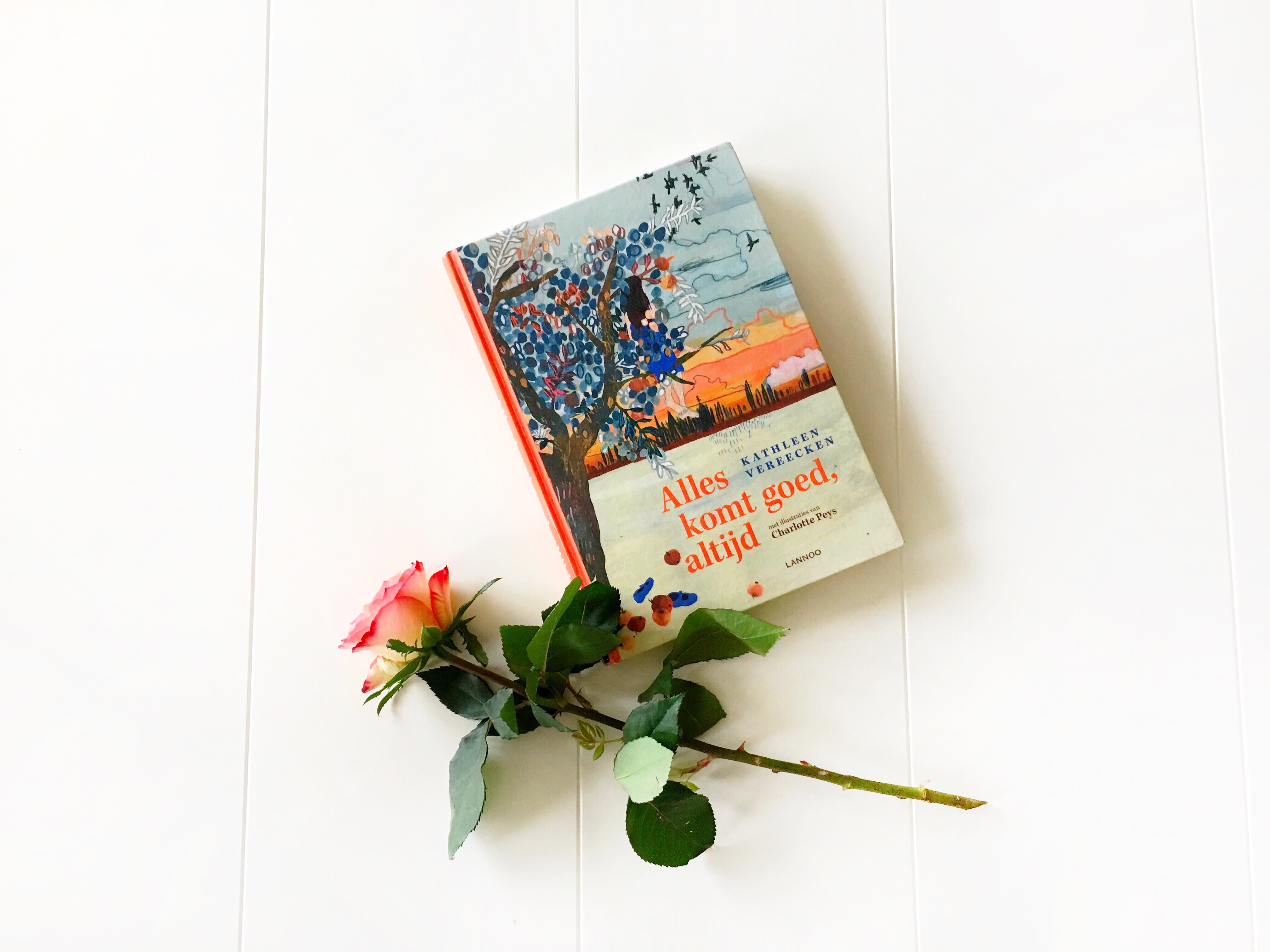 Alles Komt Goed, Altijd. Kathleen Vereecken - Books & Macchiatos