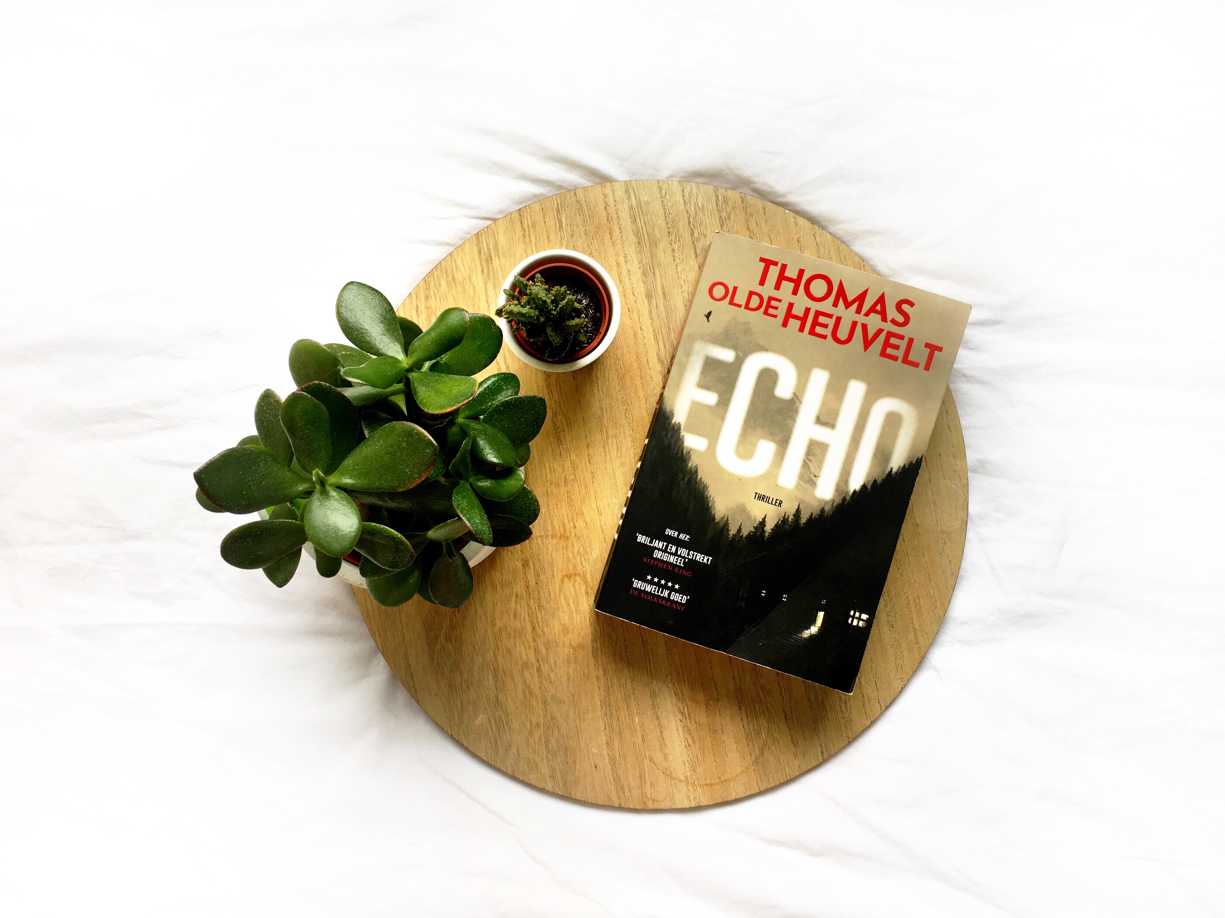 Echo, Thomas Olde Heuvelt - Books & Macchiatos