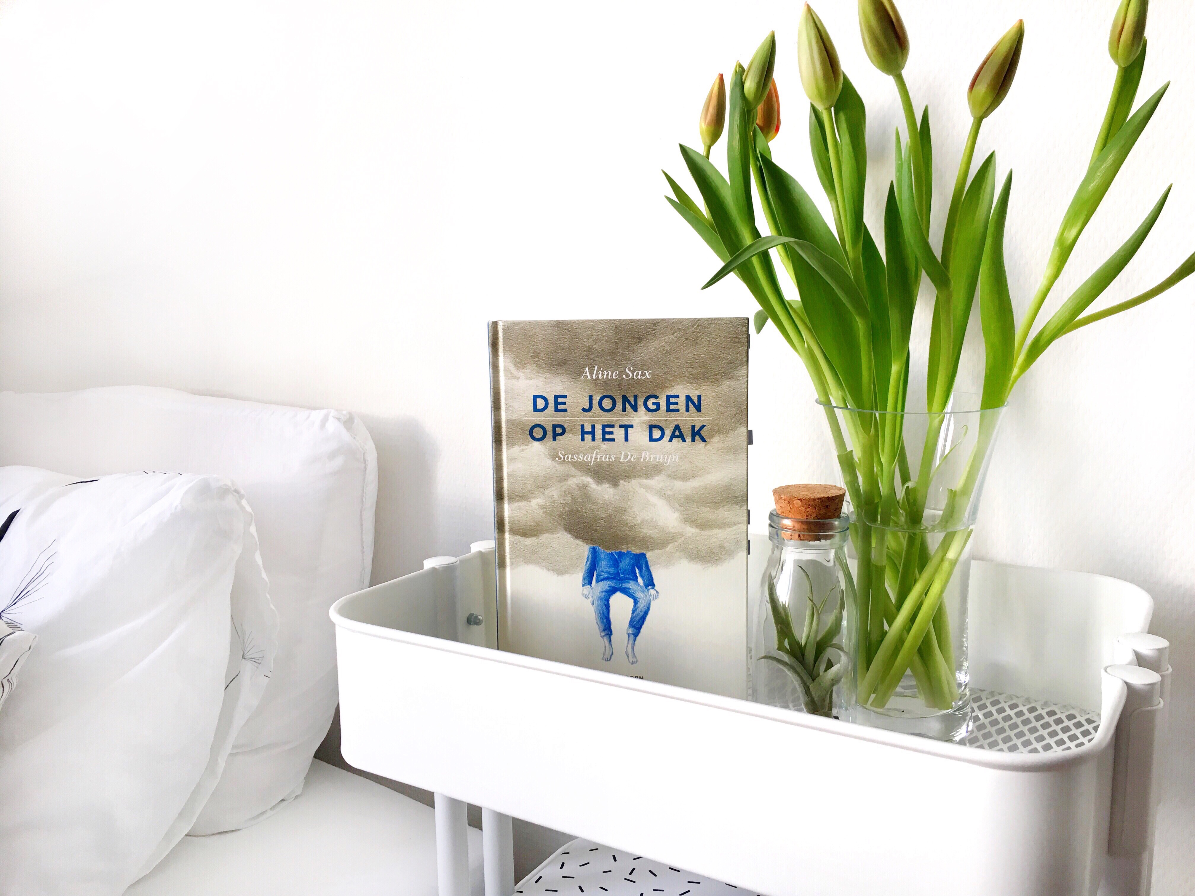 De jongen op het dak, Aline Sax & Sassafras De Bruyn - Books & Macchiatos