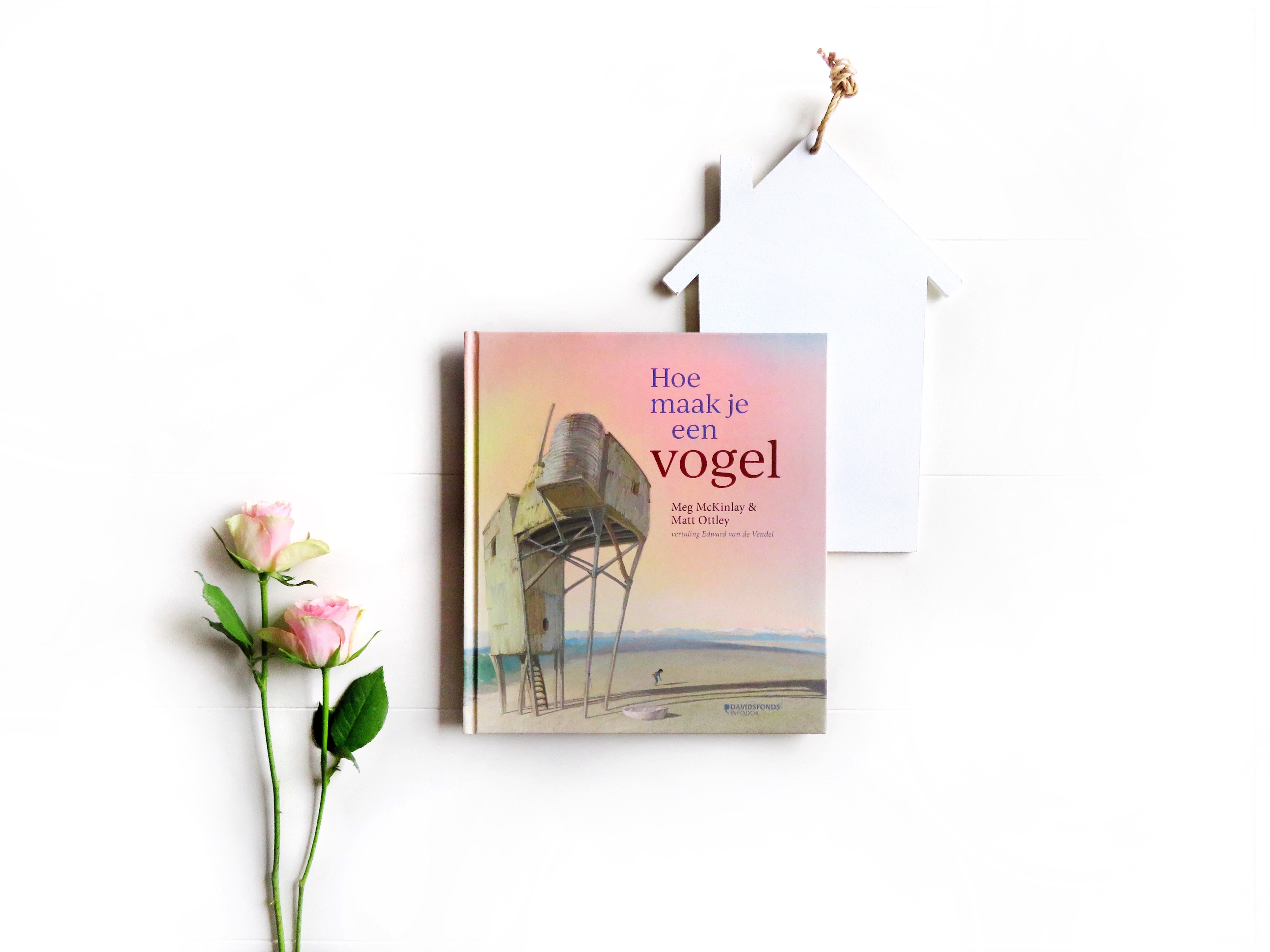 Hoe maak je een vogel, Meg McKinlay & Matt Ottley - Books & Macchiatos